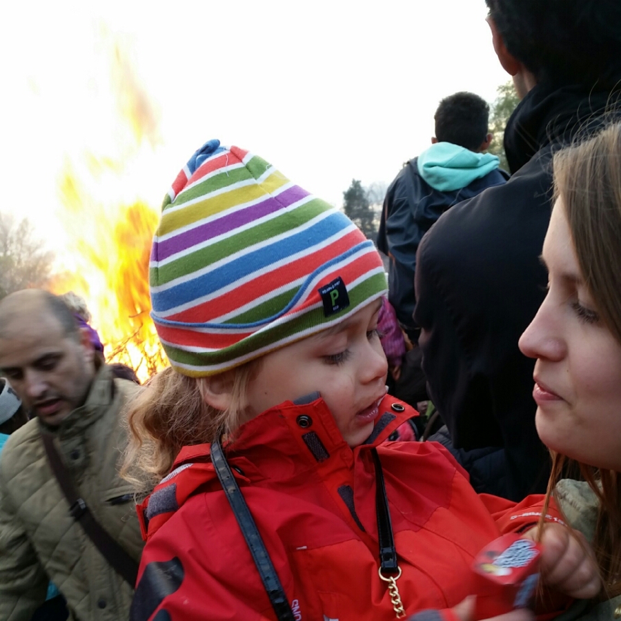 IMG_20140430_200650.jpg image