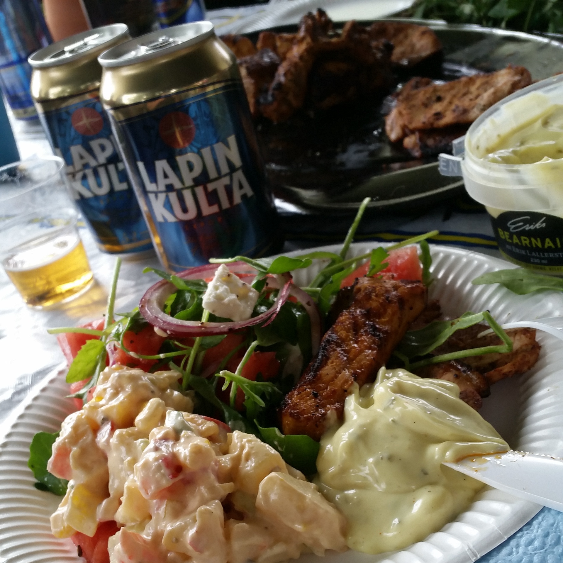 IMG_20140620_184120.jpg image