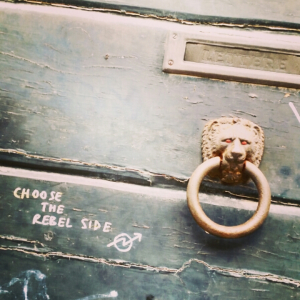 IMG_20150404_152801.jpg image