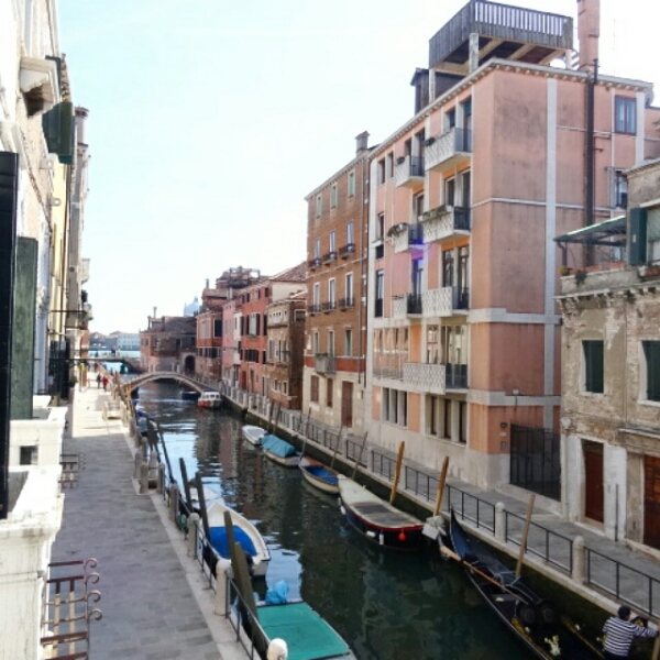 IMG_20150406_124948.jpg image