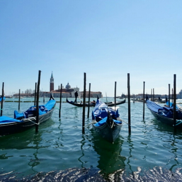 IMG_20150406_125538.jpg image